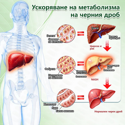 🩺𝐀𝐍𝐆𝐄𝐋𝐓𝐑𝐀𝐏® Моринга 𝗑 Берберин 𝗑 𝖠𝖬𝖯𝖪 𝟣𝟢-в-𝟣 Нано микроиглен пластир за метаболитна подкрепа |Само 𝟏× дневно ✅ Видими промени за 𝟕 дни – при затлъстяване, сърдечно-съдово здраве, диабет и ставни проблеми