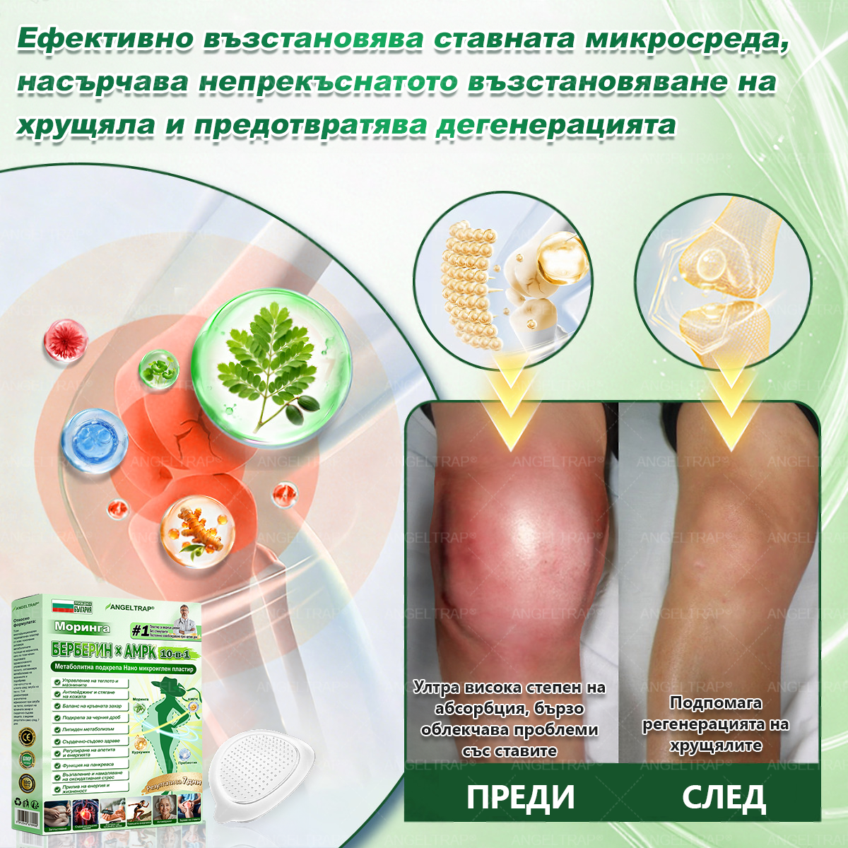 🩺𝐀𝐍𝐆𝐄𝐋𝐓𝐑𝐀𝐏® Моринга 𝗑 Берберин 𝗑 𝖠𝖬𝖯𝖪 𝟣𝟢-в-𝟣 Нано микроиглен пластир за метаболитна подкрепа |Само 𝟏× дневно ✅ Видими промени за 𝟕 дни – при затлъстяване, сърдечно-съдово здраве, диабет и ставни проблеми