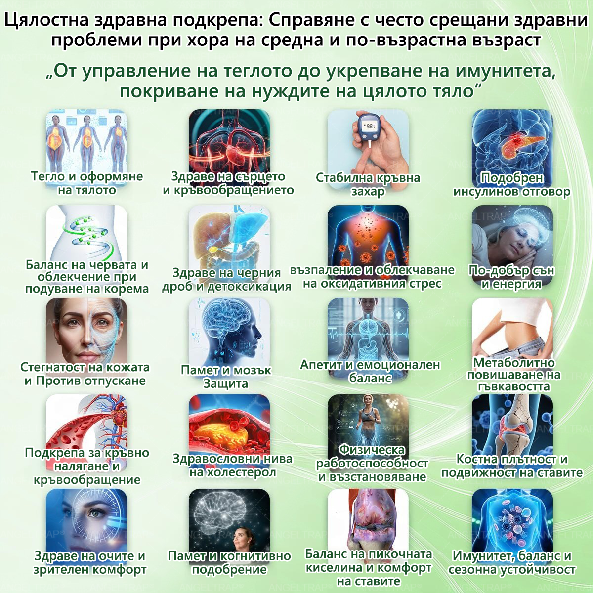 🩺𝐀𝐍𝐆𝐄𝐋𝐓𝐑𝐀𝐏® Моринга 𝗑 Берберин 𝗑 𝖠𝖬𝖯𝖪 𝟣𝟢-в-𝟣 Нано микроиглен пластир за метаболитна подкрепа |Само 𝟏× дневно ✅ Видими промени за 𝟕 дни – при затлъстяване, сърдечно-съдово здраве, диабет и ставни проблеми